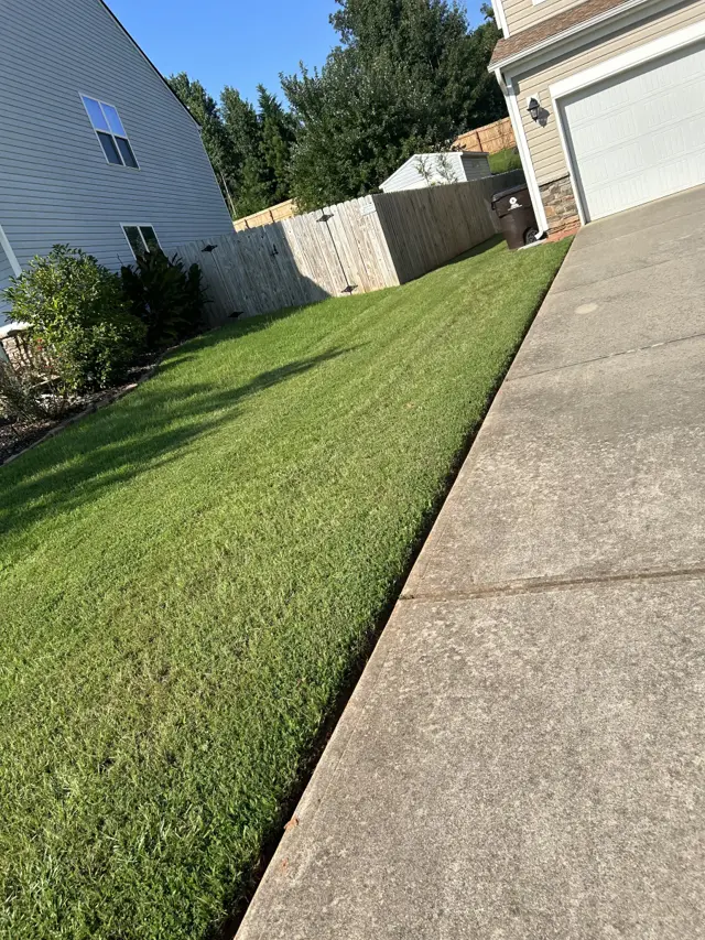 Thick, evenly cut side-yard lawn with a crisp edge along the driveway